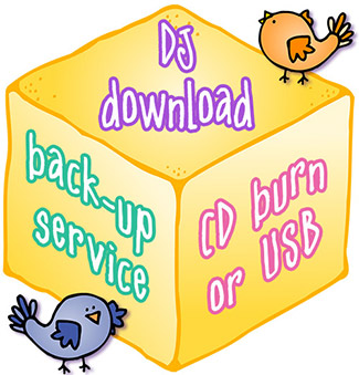 Download Back-Up Service - USB Flash Drive or CD Burn
