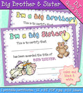 Big Brother or Sister certificate for a new baby in the family by DJ Inkers
