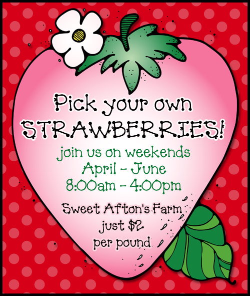 Borders Collection - Clip Art Borders, Banners & Frames