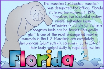 USA Clip Art Kid Doodles - 50 Nifty State Symbols Collection