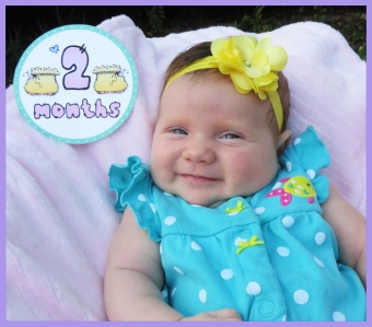 Baby Buttons - 12 Month Stickers Download