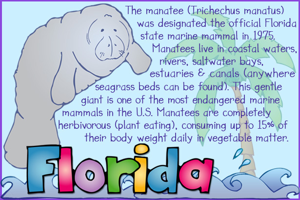 Florida Manatee facts made with cute clip art by DJ Inkers