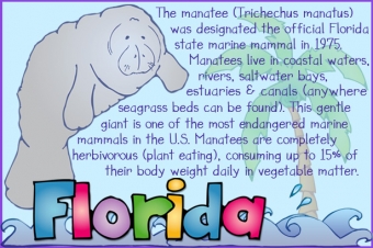 Florida USA - State Symbols Clip Art Download