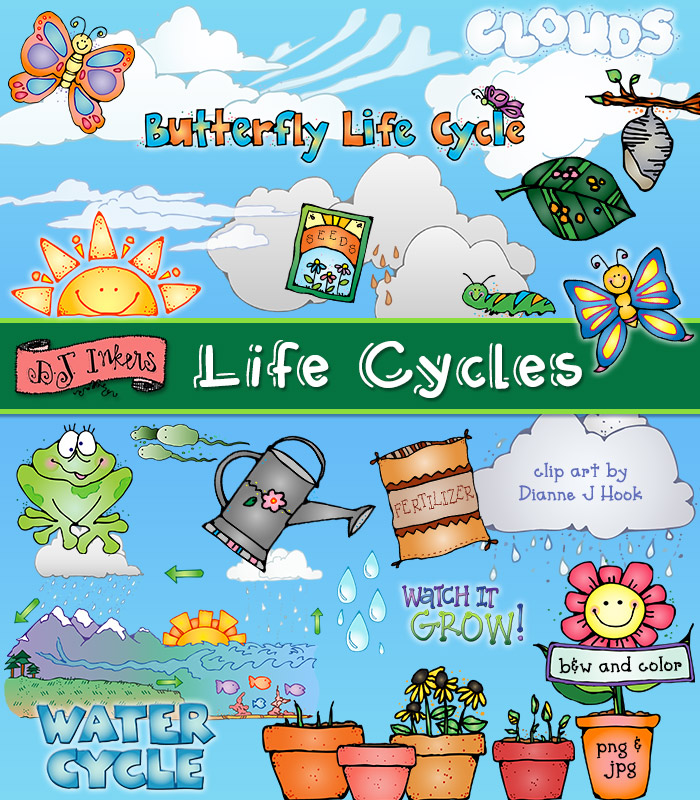 Life cycles clip art for butterfly life cycle, frog, water cycle and plant life cycle by DJ Inkers