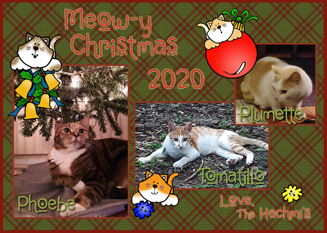 Meowy Christmas Cat Clip Art and Coloring Page