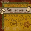 Fall Leaves - Digital Crafting and Clip Art Download