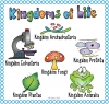 Teach Kingdoms of Life in science with clip art by DJ Inkers