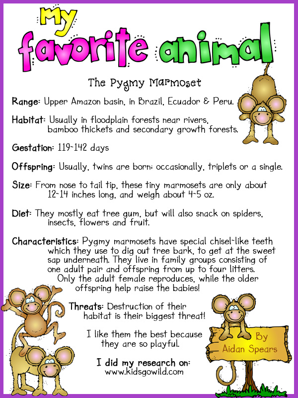 Critter Craze Animal Clip Art - 10 Download Bundle